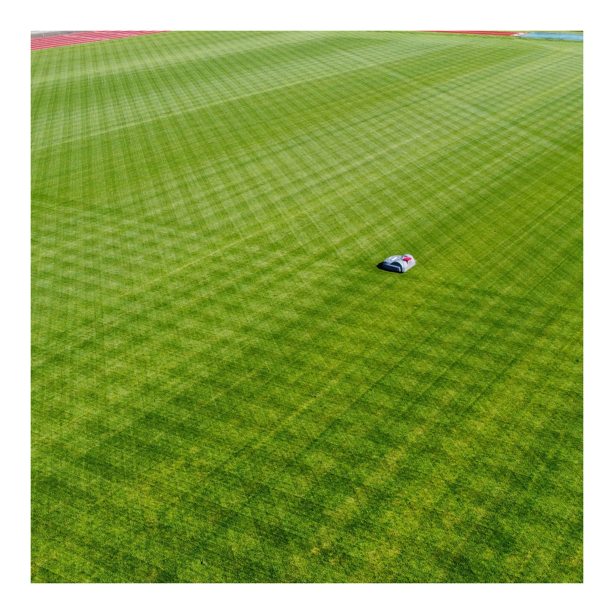 TM-2050 Mustermähen