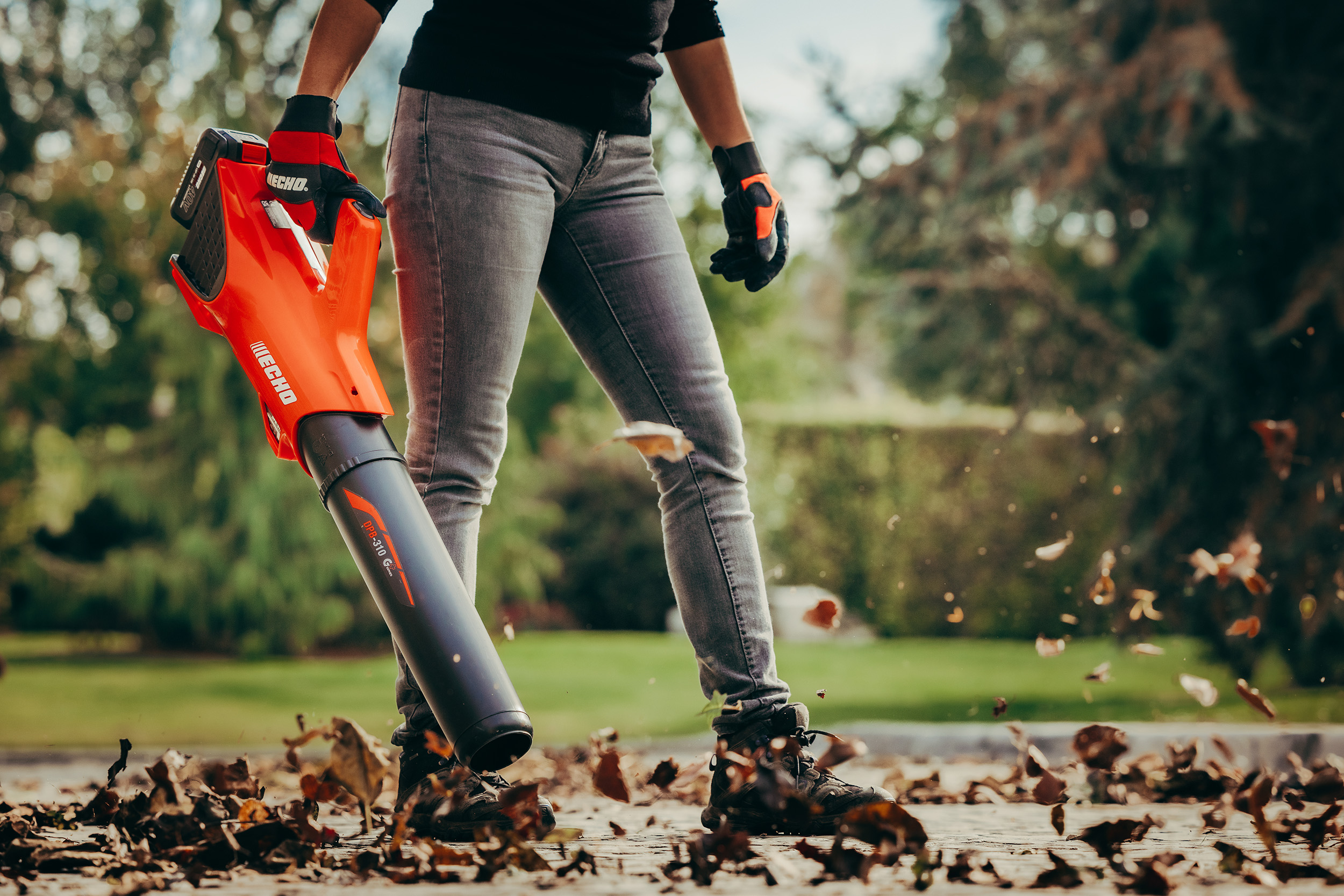 DPB-310 2021 (15) DPB-310 2021 (15)