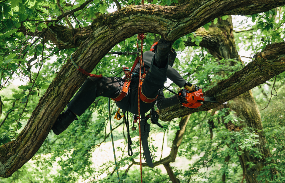 cs-360tes-im-einsatz-1 cs-360tes-im-einsatz-1