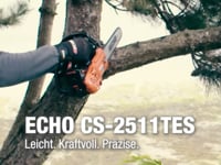 CS-2511TES